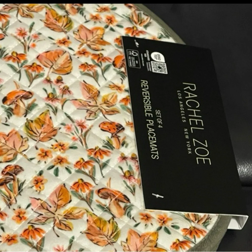 Thanksgiving Rachel Zoe Dreamy Pumpkin Placemats, Set of 4